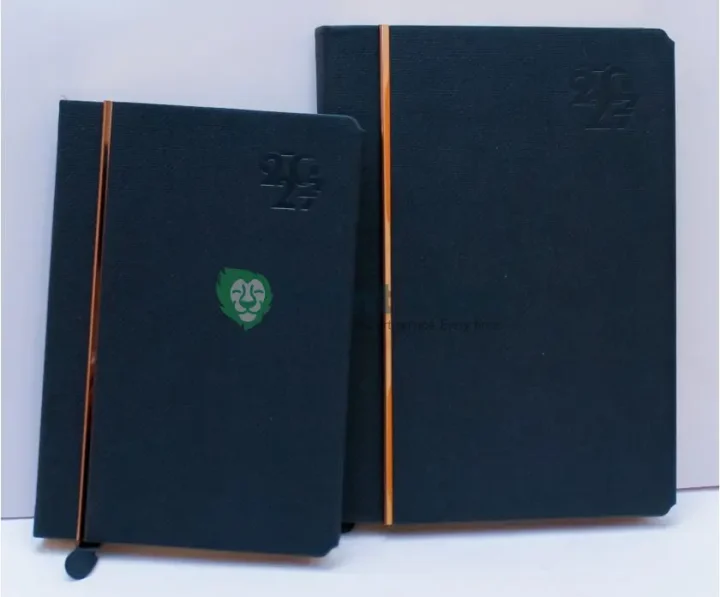 B5 DIARIES 2027 PLDR006
