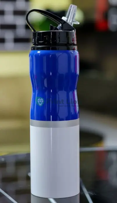 Metallic water bottles PLWB019