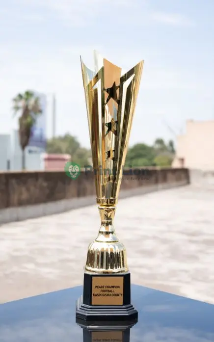 Trophy SL 223. 43cm height PLAW179