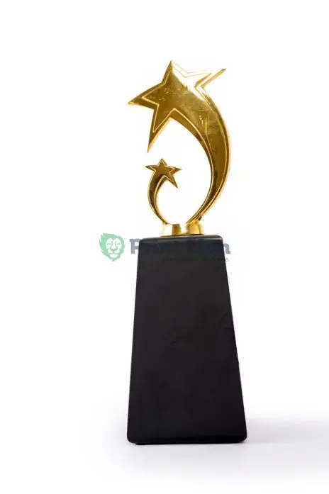 Star top trophy. 32cm height Print area 6*13cm PLAW177