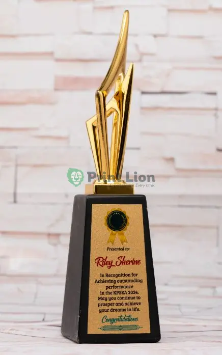 Sharp pointed trophy. 38cm height PLAW096