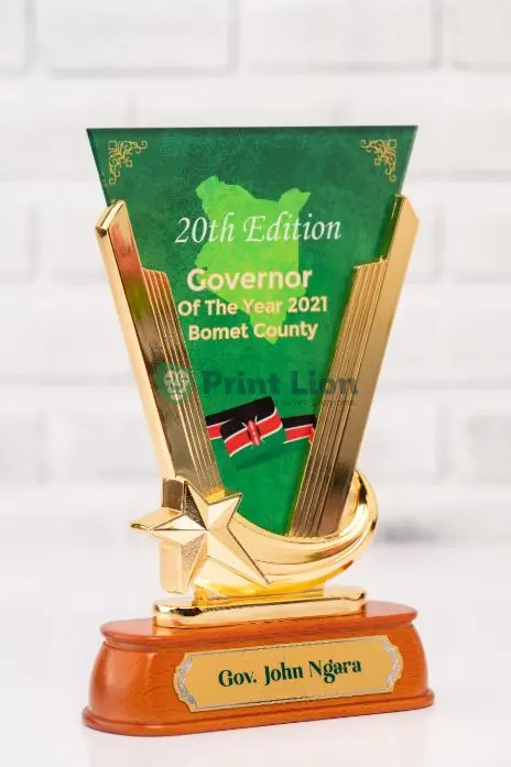V shape executive awards PLAW088