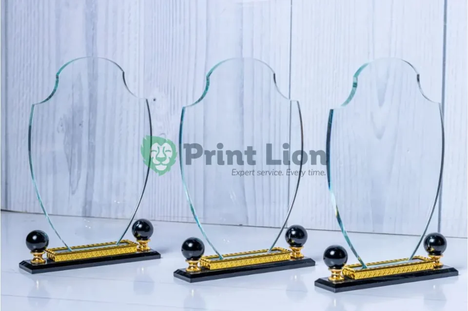 KNY-5 CRYSTAL AWARD PLAW025