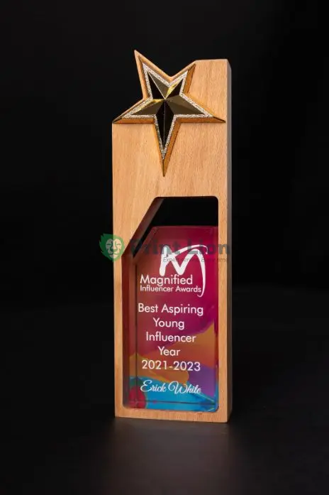 Wooden/glass award. Whole height 24*8 cm. Print area, 12.5*7cm PLAW093