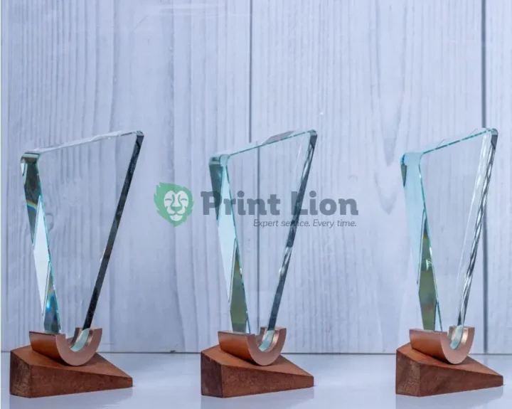 KNY-18 CRYSTAL AWARD PLAW046