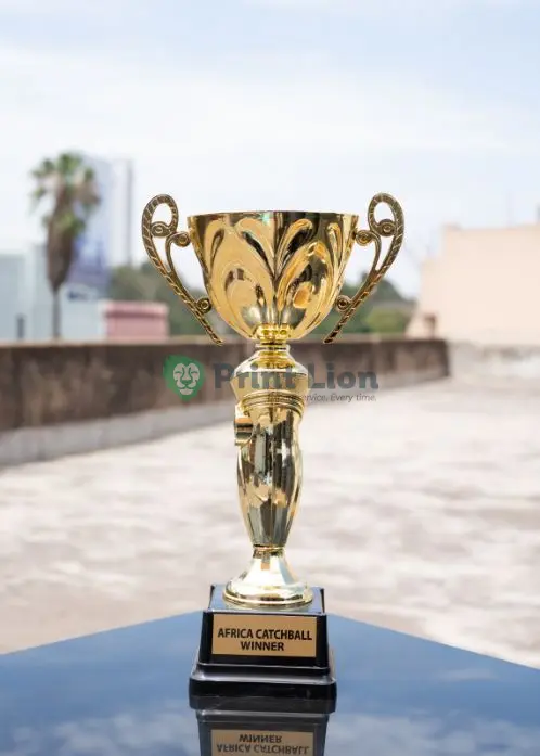 Trophy – 053. 32cm height PLAW143