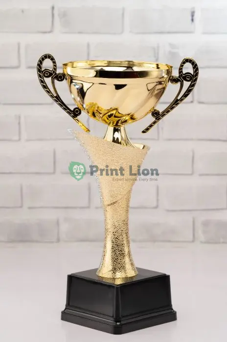 Trophy SL 067. 33cm height PLAW134