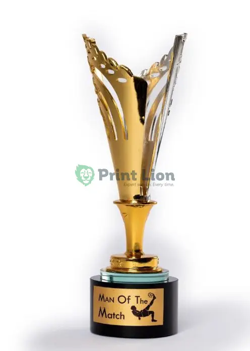 New trophies. 25cm height PLAW073